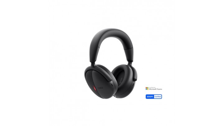 Dell Pro WL5024 ANC headset ausinės (520-BBGM)